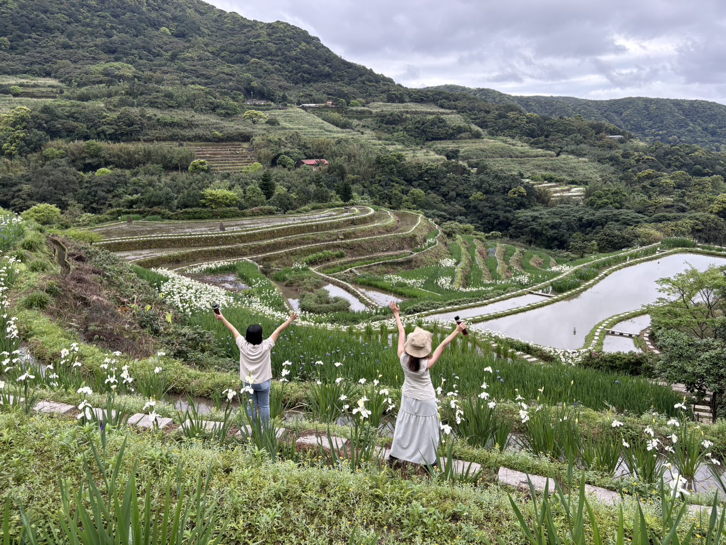 鳶尾花遇見嵩山百年梯田 石門嵩山春季限定...