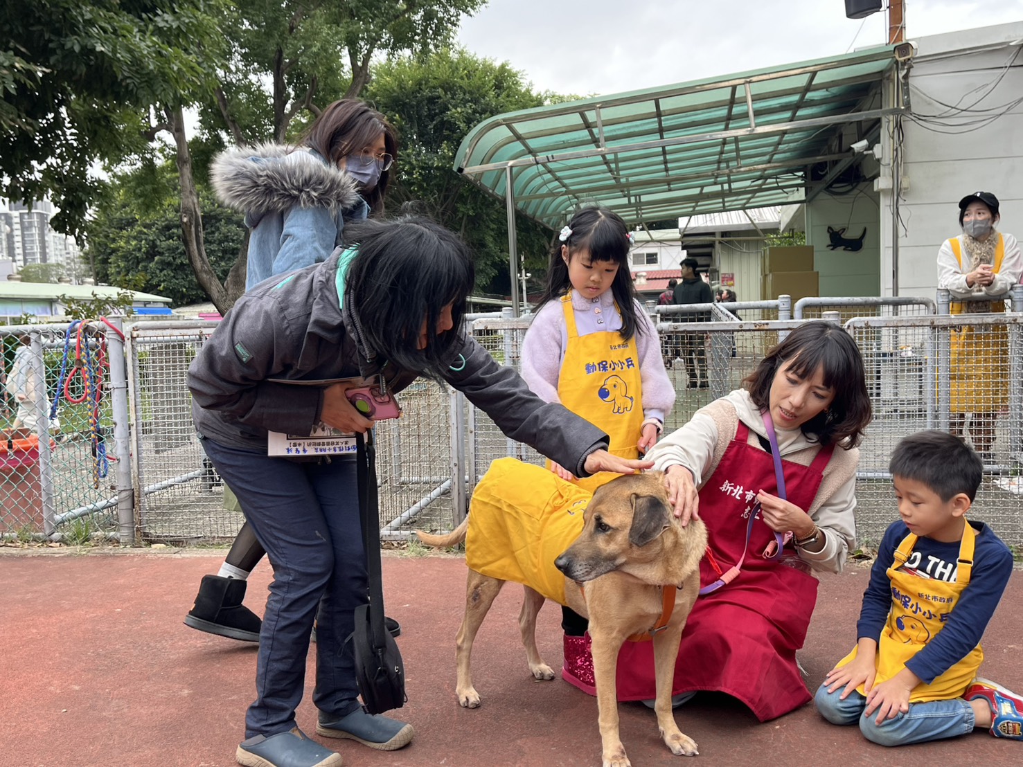 新北動保小小兵出動！兒童節推生命教育 讓愛從學習開始...