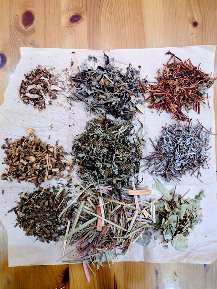 專解高壓！臺北典藏植物園綠療課程5月登場 ...