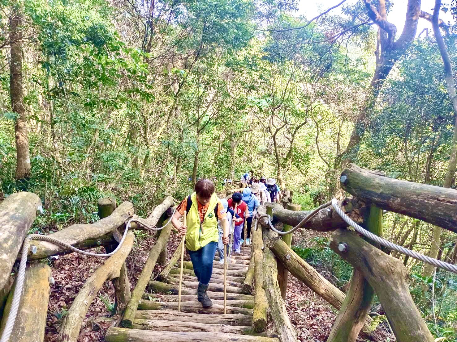 大坑森林療癒之旅掀熱潮　6大步道打卡抽獎持續延燒...