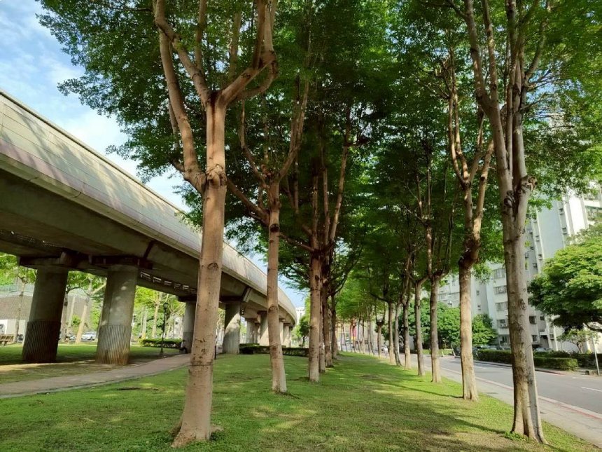 捷運線上看見龍貓森林  石牌、唭哩岸站公園故事多...