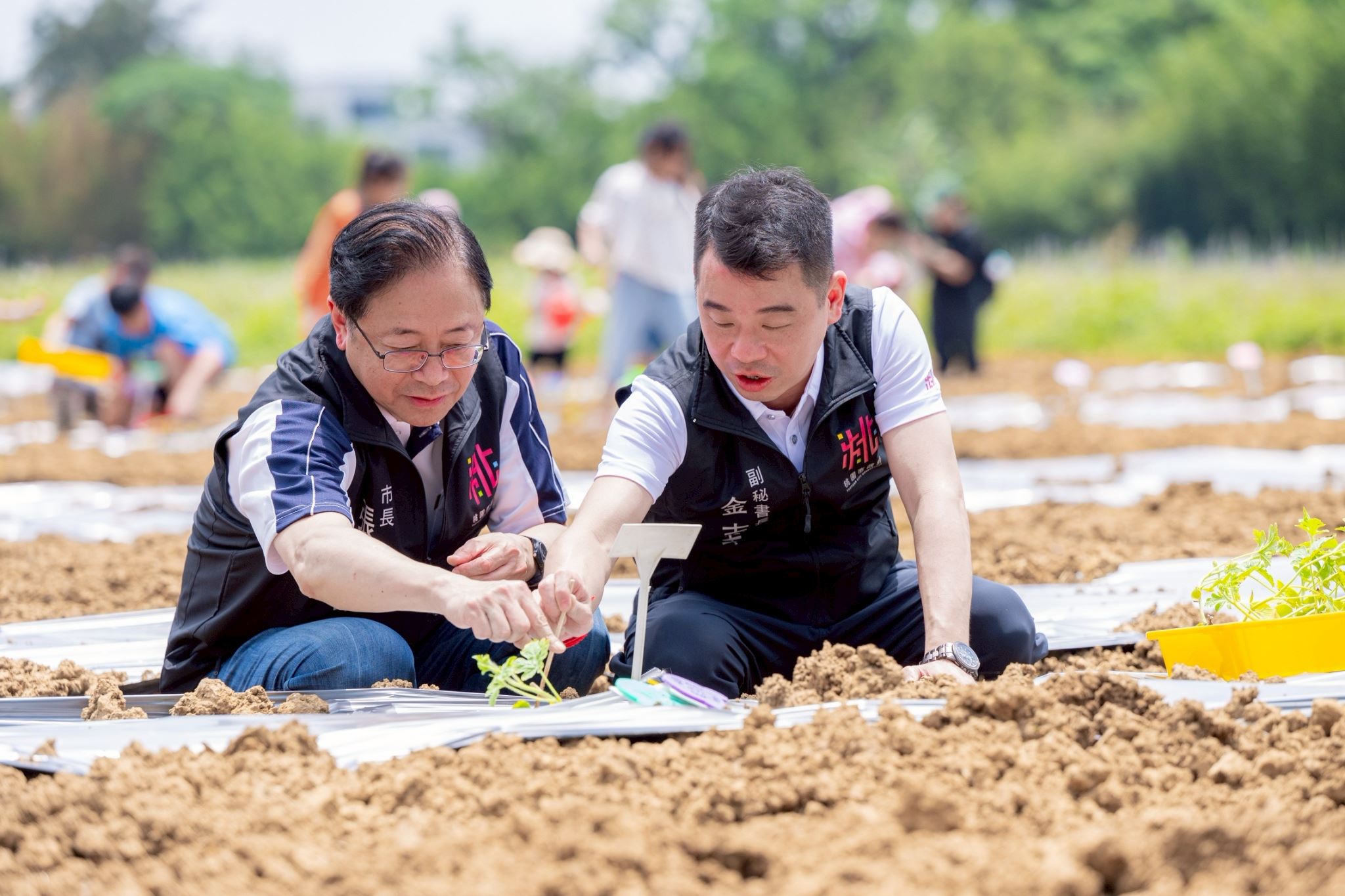 大園溪海西瓜節登場　張市長：親手種下豐收的祝福...