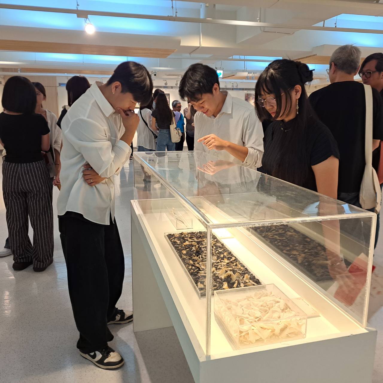 《恍恍如初》 台南應用科技大學美術系115級畢業展  回望創作的最初時