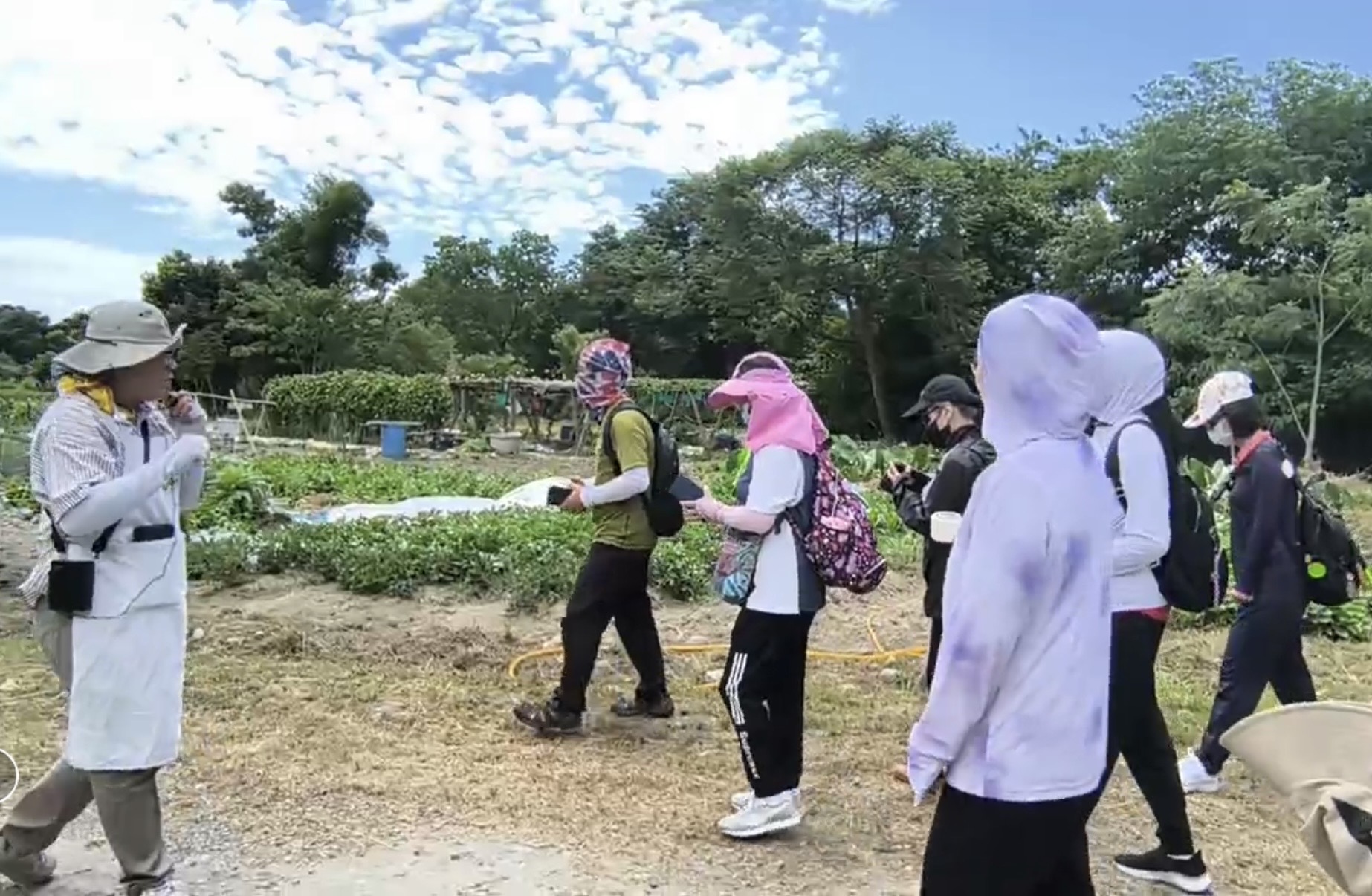 新北Lipahak食癒餐桌登場　跟著Ina煮一碗「很慢」野菜湯...