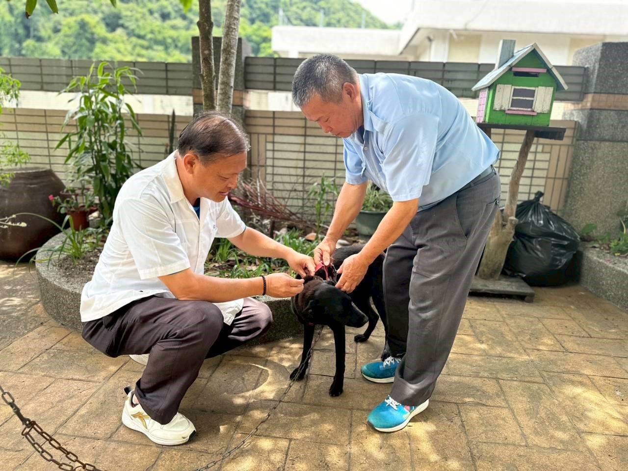 夏季野生動物活動頻繁 動保處籲請民眾提高警覺