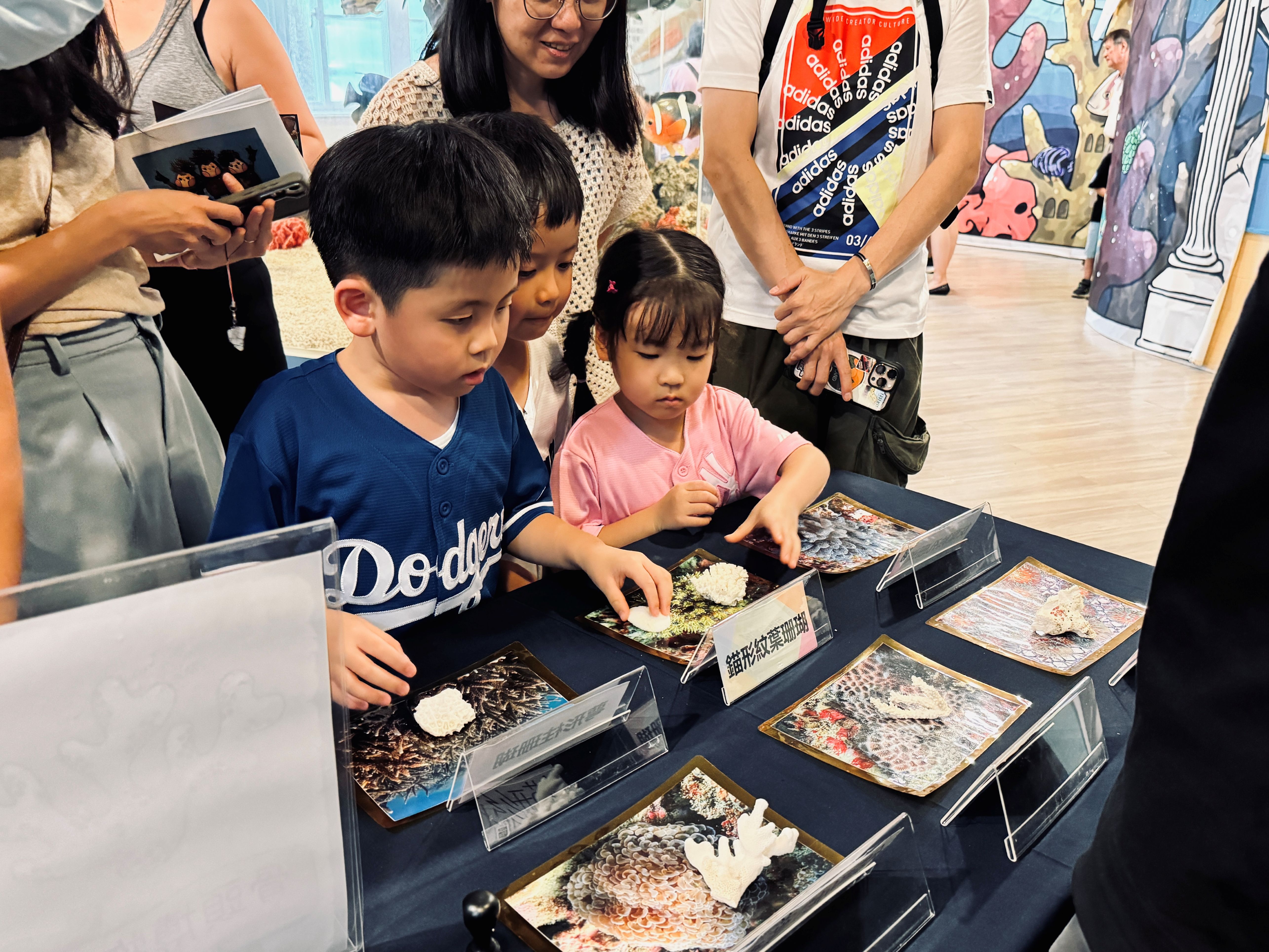 「珊瑚小學堂」帶你走進東北角海底世界 體驗珊瑚復育的奧...