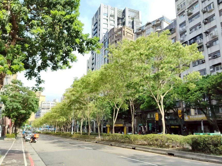 獨角仙的最愛  光蠟樹夏日披上潔白涼紗...