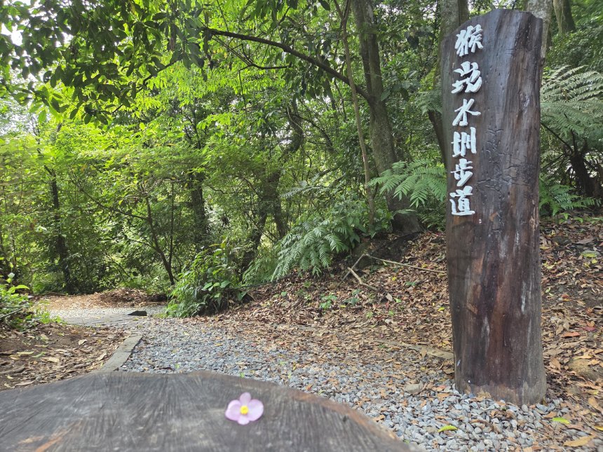 陽明山新景點開箱  邀您漫遊竹子湖猴崁水圳步道...