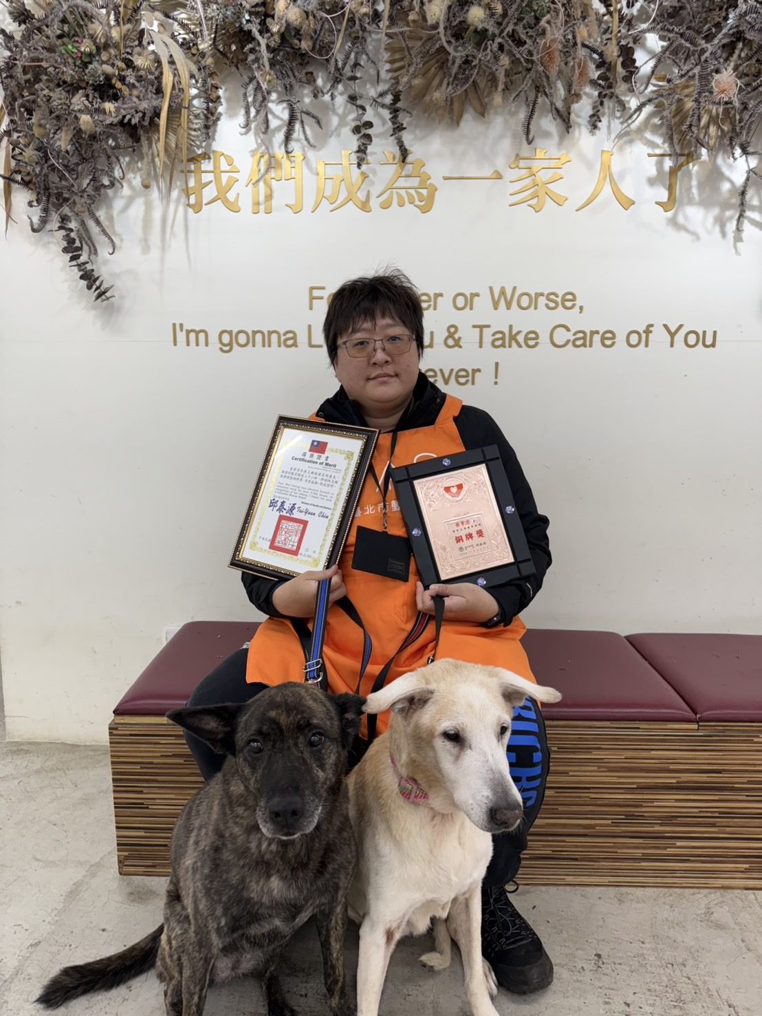 用愛累積八千小時 臺北市動物之家志工榮獲國家志願服務獎...