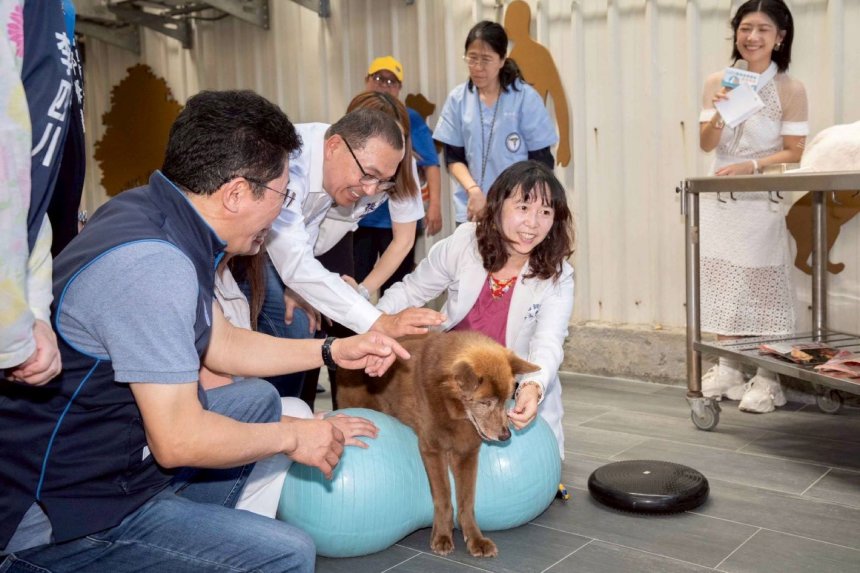 全國首座動物長照園區啟用  新北中和動物之家打造高齡毛...