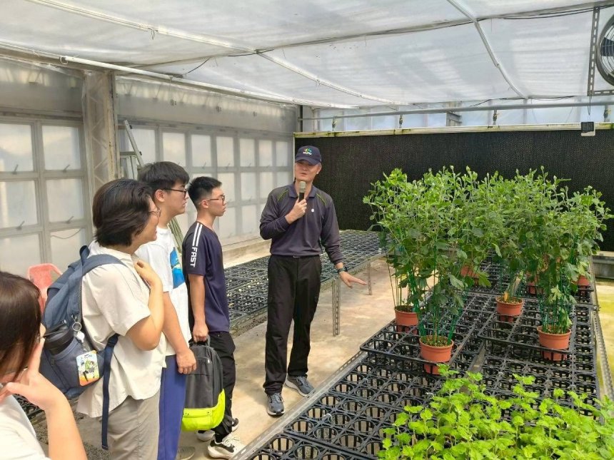 士林官邸菊展熱身  產官學共力傳承花卉栽培技術...