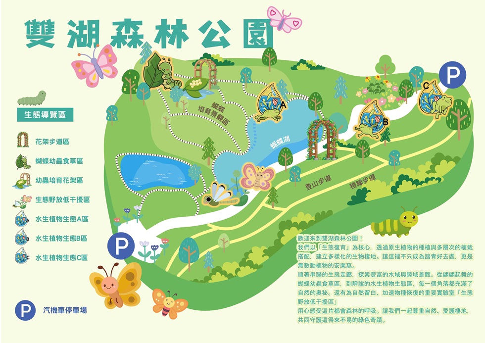 彩蝶滿天飛！高雄雙湖森林公園變身都市生態樂園 逾20種蝴蝶現蹤