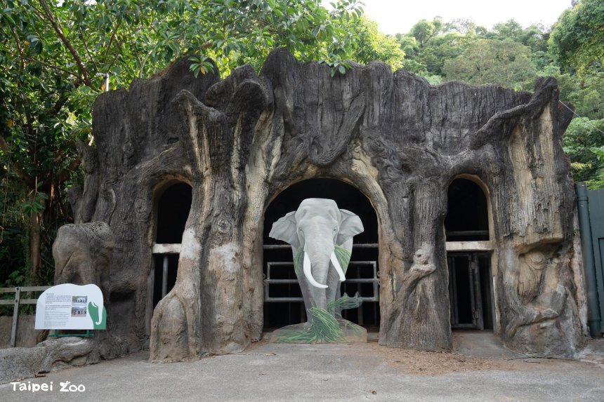 台北動物園遷園40周年特展「與象同在、迎象未來」  限時揭...