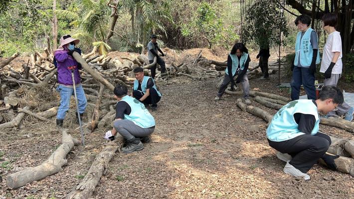 虎頭埤風景區「枯樹籬步道」生態復育有成...
