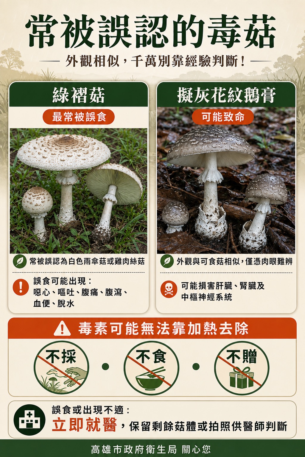 雨後野地菇類勿任意採食    衛生局籲慎防誤食有毒菇類食物中毒