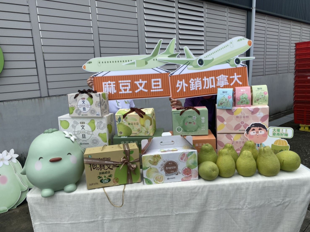  臺南麻豆文旦疊櫃啟運 進駐加拿大六大主流連鎖超市...