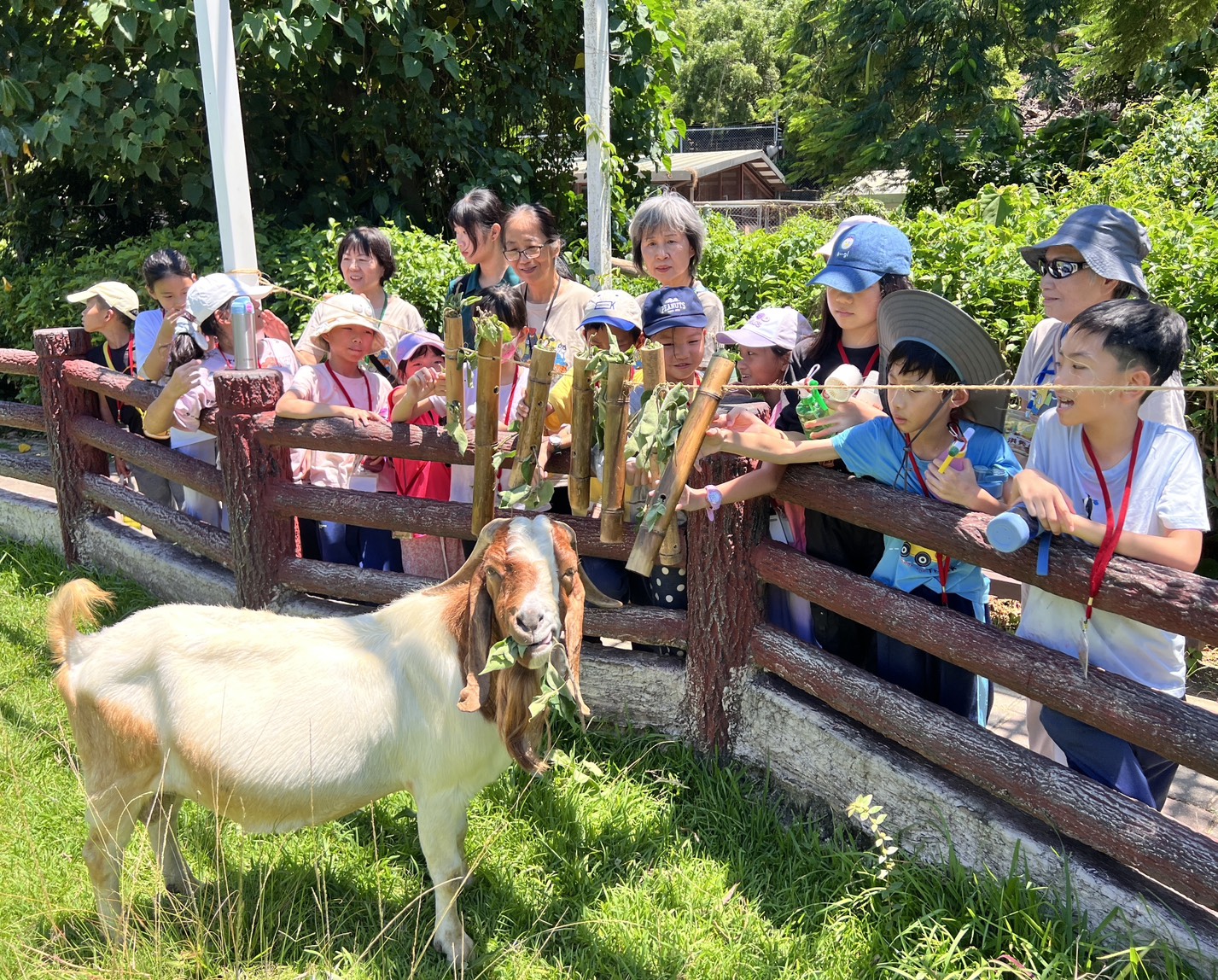 壽山動物園「森林系」解說教育中心全新開放！